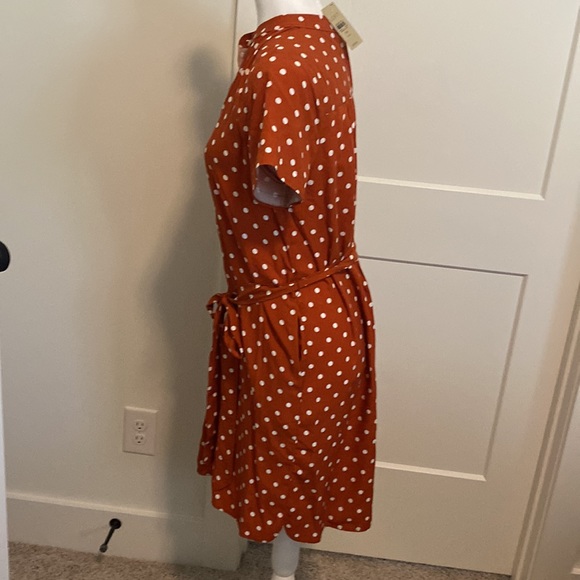 NWT Loft Petite Polka Dot Dress Sz MP - Picture 3 of 9